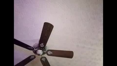 BobbyMitchGa online show from 4, 1, 2025