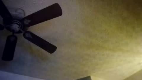 BobbyMitchGa online show from 10, 10, 2025