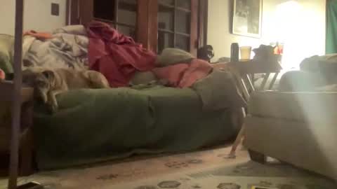 Snapshot of mizzstorm13 chatting on 15, 3, 2026 Mizz Storm online show from 15, 3, 2026