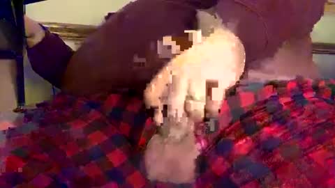 mnguy19726969 online show from 18, 12, 2024