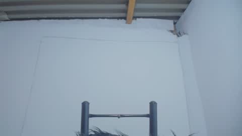 Catalina online show from 4, 12, 2024