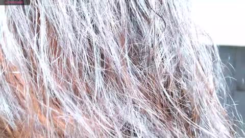 Moana  online show from 14, 1, 2025