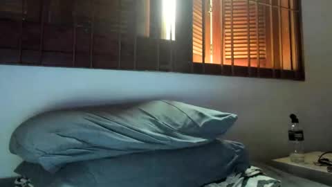 DigBreed online show from 2, 1, 2025