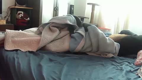 Snapshot of mojoe420 chatting on 29, 11, 2025 mojoe420 online show from 29, 11, 2025