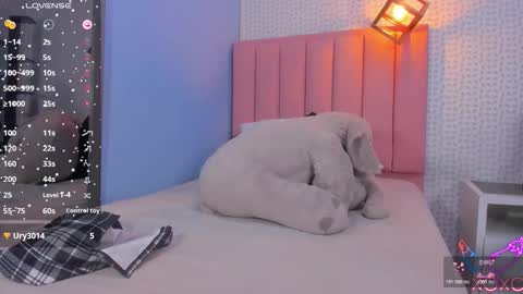 MOLLY online show from 11, 11, 2025