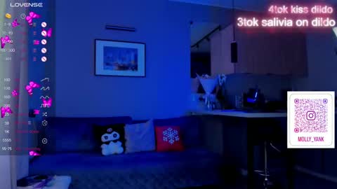 Snapshot of mollyyank chatting on 17, 2, 2025 Molly online show from 17, 2, 2025