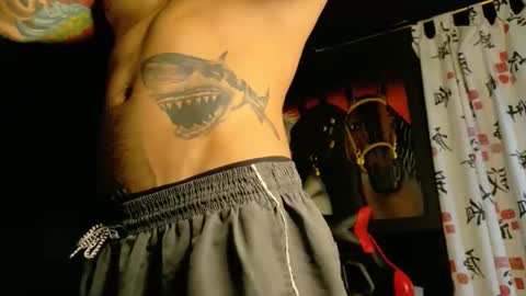 Snapshot of molotov_explosive chatting on 19, 11, 2025 Molotov online show from 19, 11, 2025