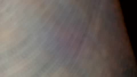 Snapshot of mommabearanpoppabear850 chatting on 4, 12, 2025 mommabearanpoppabear850 online show from 4, 12, 2025