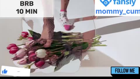 Snapshot of mommy_cum chatting on 23, 1, 2025 Mommy online show from 23, 1, 2025