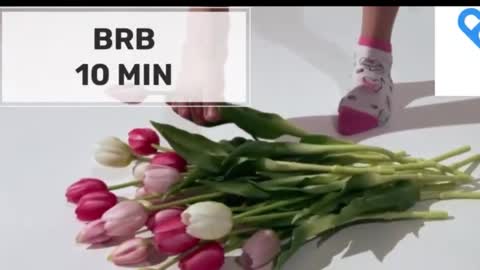 Mommy online show from 5, 11, 2025