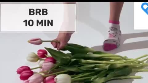 Mommy online show from 21, 11, 2025