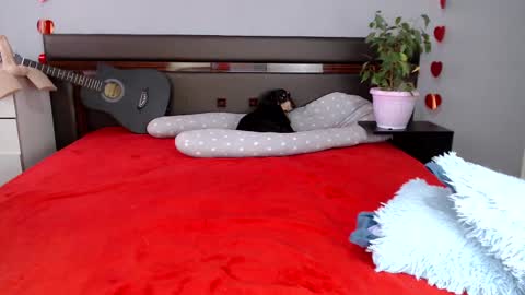 Maria online show from 8, 3, 2025