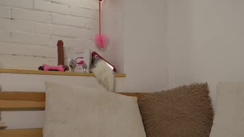 Snapshot of monicaasis chatting on 17, 2, 2025 monicaasis online show from 17, 2, 2025