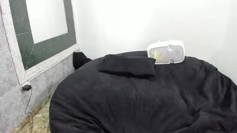 monkeyd_66 online show from 18, 2, 2025