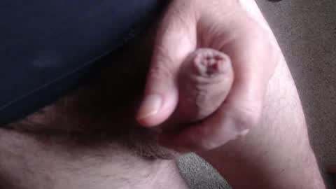 monkeypawpony online show from 11, 11, 2025