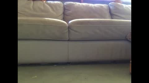 Snapshot of mookaite05 chatting on 3, 3, 2025 mookaite05 online show from 3, 3, 2025