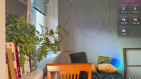 Dana online show from 5, 1, 2025