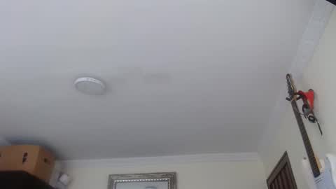 Abelardo online show from 12, 1, 2026