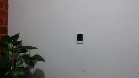 Abelardo online show from 6, 4, 2026