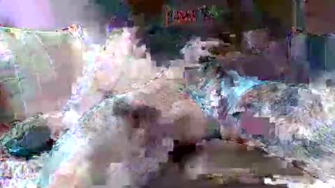 morboso2563 online show from 21, 11, 2025