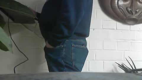 motofann2 online show from 16, 1, 2025