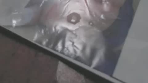 Snapshot of mowfbreever chatting on 18, 10, 2025 mowfbreever online show from 18, 10, 2025