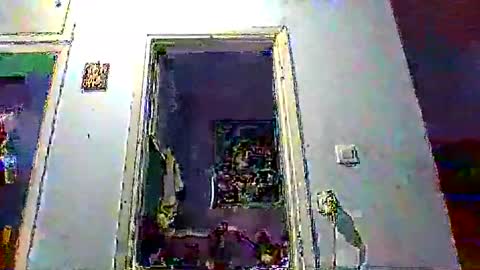 mppempis81 online show from 17, 1, 2026