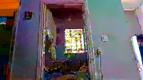 mppempis81 online show from 1, 2, 2026