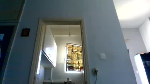 mppempis81 online show from 21, 4, 2026