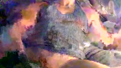 Mr2 online show from 26, 2, 2026