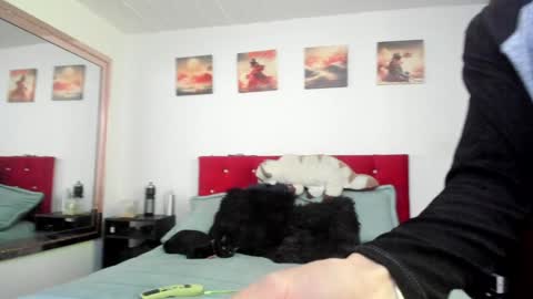 Andy online show from 23, 12, 2024