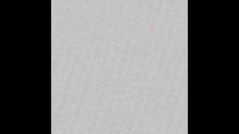 Brandon Banks online show from 10, 12, 2024