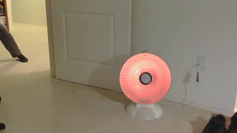 Snapshot of mrf388 chatting on 17, 11, 2025 IwantU2WatchME online show from 17, 11, 2025