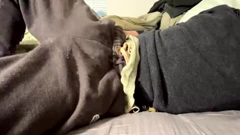 Snapshot of mrfox1q chatting on 29, 12, 2024 thickdickpnw online show from 29, 12, 2024