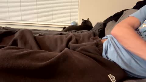 Snapshot of mrfox1q chatting on 20, 1, 2025 thickdickpnw online show from 20, 1, 2025