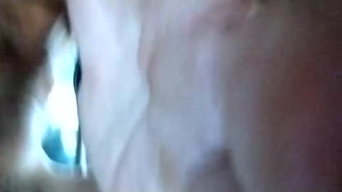 Snapshot of mrhotcock7inch chatting on 27, 12, 2024 mrhotcock7inch online show from 27, 12, 2024