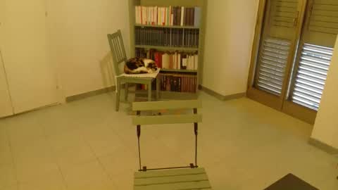 mrkurt86 online show from 19, 11, 2025