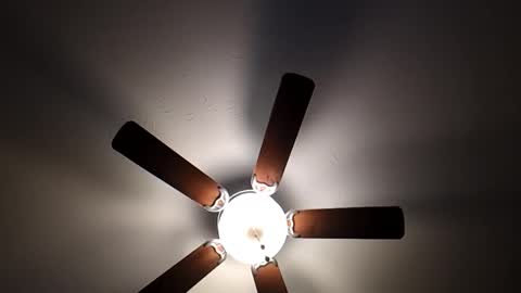 mrorange50187 online show from 26, 1, 2025