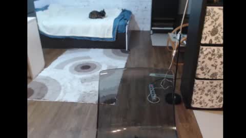 Sasha online show from 11, 3, 2025