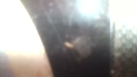 Snapshot of mrvenusx chatting on 30, 1, 2025 Mrs Venus online show from 30, 1, 2025