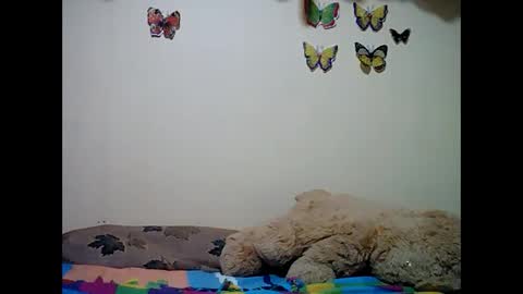 Snapshot of ms_teery chatting on 8, 12, 2024 ms_teery online show from 8, 12, 2024