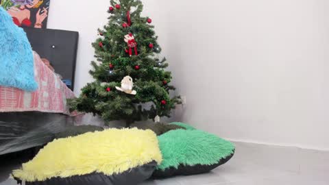 Chloe new account online show from 11, 12, 2024