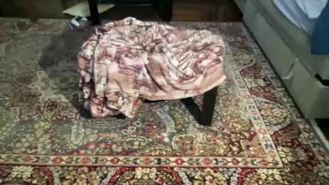 Snapshot of much_fun1 chatting on 1, 2, 2026 much_fun1 online show from 1, 2, 2026