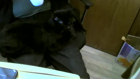 muller520 online show from 23, 1, 2025