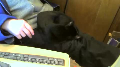 muller520 online show from 11, 2, 2025