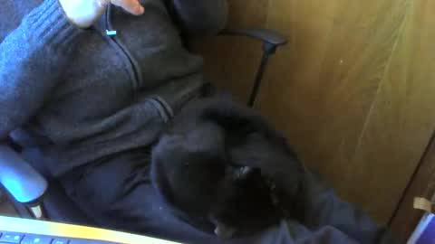 muller520 online show from 13, 4, 2026