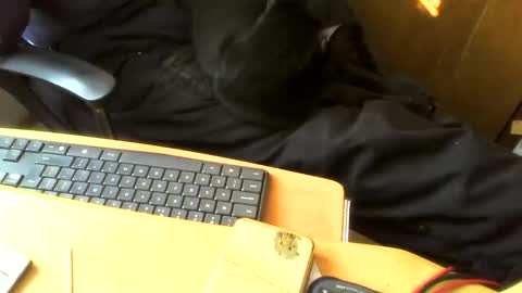 Snapshot of muller520 chatting on 28, 4, 2026 muller520 online show from 28, 4, 2026