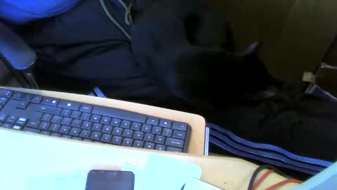 Snapshot of muller520 chatting on 13, 5, 2026 muller520 online show from 13, 5, 2026