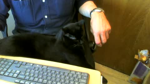 muller520 online show from 31, 7, 2026