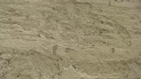 Snapshot of mullty chatting on 18, 12, 2024 Mullty online show from 18, 12, 2024